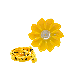 Little Sun Original Solar Lamp