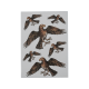 Marvellous Creatures - Stickers Set