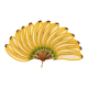 PU BU ME SU Fan Pisang/Banana