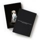 Christian Dior HH Sheikha Moza bint Nasser Collection set of 12 postcards