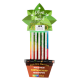 Plant a pencil set of 5 Coloured