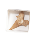 KUNUGI – Shark Tooth