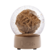 Desert Rose Glitter Snow Globe