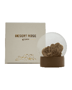 Desert Rose - Snowglobe