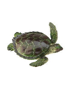 Ravensden Sea Turtle 15 cm