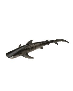 Safari Ltd  - Tiger Shark