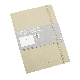 Leuchtturm1917 Notebook Composition B5 Softcover Sand Plain 