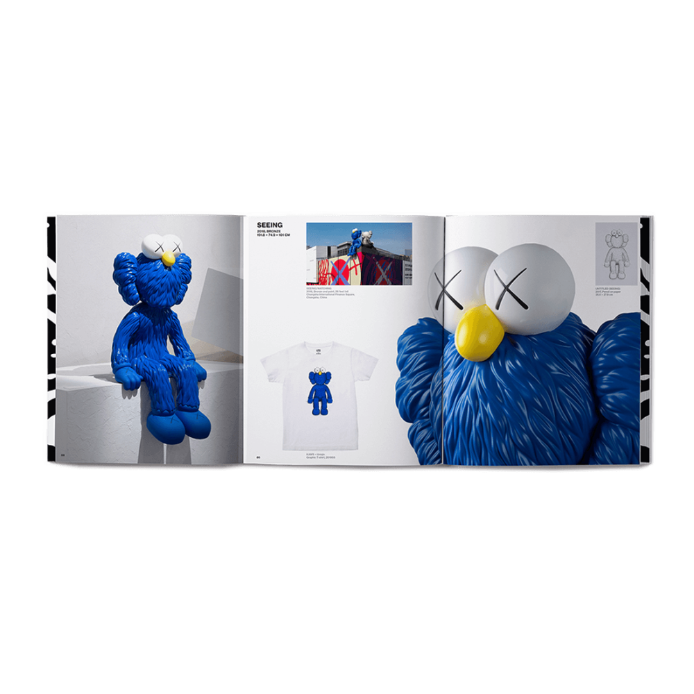 Amazon.com: KAWS: He Eats Alone: 9788836645602: Celant