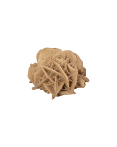 Desert Rose - Resin Magnet