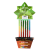 Plant a pencil set of 5 Coloured